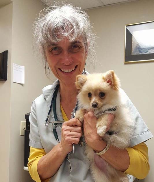 Veterinarian Careers - vet holding dog