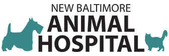 Link to Homepage of New Baltimore Animal Hospital